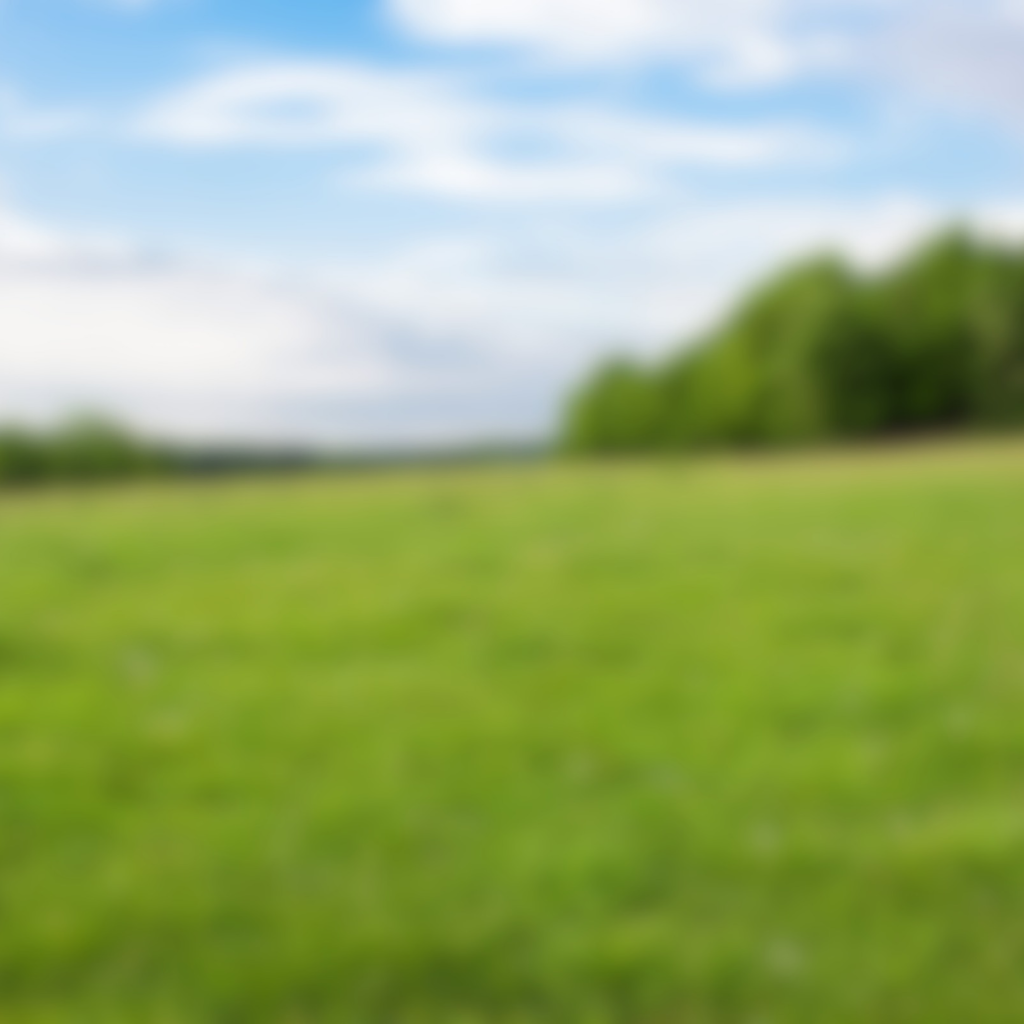 Terrain à bâtir viabilisé avec Ligne d'Horizon